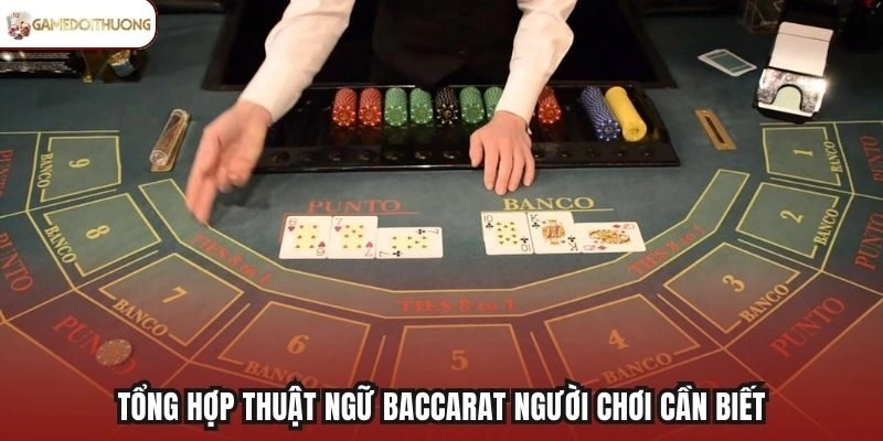 Tổng hợp thuật ngữ Baccarat người chơi cần biết