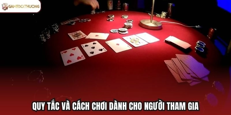 Quy tắc và cách chơi dành cho người tham gia